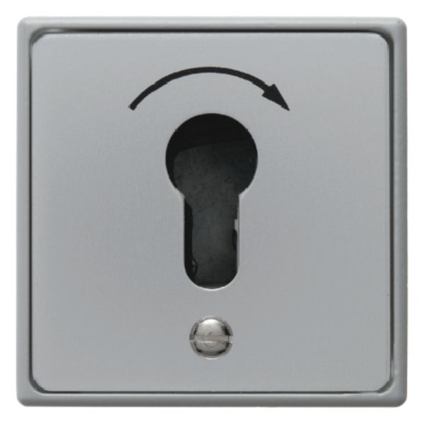 Push-button imprint flush-mtd for lock cylinder, screw terminals, Die- image 1