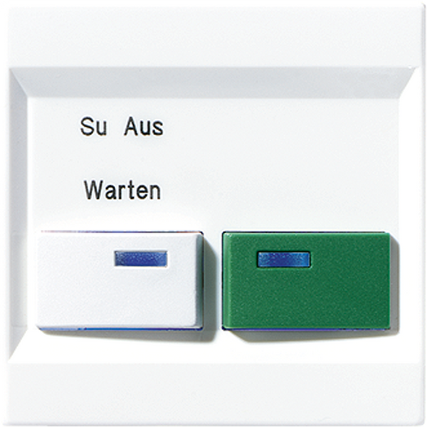 Cover plate for Ackermann LS642B-2WW image 1