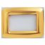 PLAYBUS YOUNG PLATE - IN METALLISEE TECHNOPOLYMER - SATIN FINISHING - 3 GANG - ANTIQUE GOLD - PLAYBUS thumbnail 2