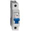 Miniature Circuit Breaker (MCB) AMPARO 10kA, D 63A, 1-pole thumbnail 1