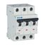 Miniature circuit breaker (MCB), 1 A, 3p, characteristic: Z thumbnail 10