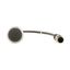 Pushbutton, Flat, momentary, 1 NC, Cable (black) with M12A plug, 4 pole, 1 m, black, Blank, Bezel: titanium thumbnail 7