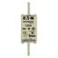 Fuse-link, LV, 125 A, AC 690 V, NH1, gL/gG, IEC, dual indicator, live gripping lugs thumbnail 12