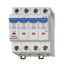 Miniature Circuit Breaker (MCB) B, 50A, 4-pole, 6kA thumbnail 1