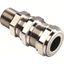 EXS06AMC1S 1 NPT BRASS GLAND EXD IIC/EXTD thumbnail 1