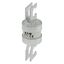 Utility fuse-link, LV, 315 A, AC 415 V, BS88/J, 38 x 110 mm, gL/gG, BS, 82mm fixing centres thumbnail 19