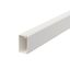 WDK15030RW Wall trunking system with base perforation 15x30x2000 thumbnail 1