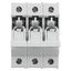 Fuse-holder, LV, 30 A, AC 600 V, 10 x 38 mm, CC, 3P, UL, indicating, DIN rail mount thumbnail 30