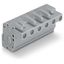 1-conductor female connector, angled CAGE CLAMP® 2.5 mm² gray thumbnail 2