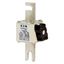 Fuse-link, high speed, 250 A, AC 690 V, DIN 1, 53 x 69 x 138 mm, aR, DIN, IEC, single indicator thumbnail 7