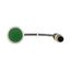 Pushbutton, Flat, momentary, 1 N/O, Cable (black) with M12A plug, 4 pole, 0.2 m, green, Blank, Bezel: titanium thumbnail 12