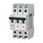 Miniature circuit breaker (MCB), 25 A, 3p, characteristic: C thumbnail 6