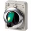 Illuminated selector switch actuator, RMQ-Titan, With thumb-grip, maintained, 3 positions, green, Metal bezel thumbnail 5