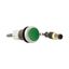 Pushbutton, Flat, momentary, 1 N/O, Cable (black) with M12A plug, 4 pole, 0.2 m, green, Blank, Bezel: titanium thumbnail 16