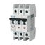 Miniature circuit breaker (MCB), 30 A, 3p, characteristic: C thumbnail 6