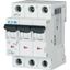 Miniature circuit breaker (MCB), 15 A, 3p, characteristic: B, 6 kA thumbnail 1