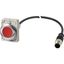 Illuminated pushbutton actuator, Flat, maintained, 1 NC, Cable (black) with M12A plug, 4 pole, 1 m, LED Red, red, Blank, 24 V AC/DC, Metal bezel thumbnail 2