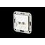 C6Amodul 2 port 180°M flush mounted trunking installation pure white thumbnail 2