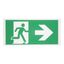 P-LIGHT Emergency, standard signs for area light, green thumbnail 1