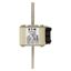 Fuse-link, high speed, 550 A, AC 690 V, size 2, 61 x 77 x 135 mm, aR, IEC, UL, single indicator thumbnail 15