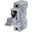 Fuse-holder, LV, 32 A, AC 690 V, 10 x 38 mm, 1P, UL, IEC, indicating, DIN rail mount thumbnail 5