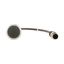 Pushbutton, Flat, momentary, 1 NC, Cable (black) with M12A plug, 4 pole, 1 m, black, Blank, Bezel: titanium thumbnail 8