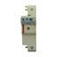 Fuse-holder, low voltage, 125 A, AC 690 V, 22 x 58 mm, 1P, IEC, With indicator thumbnail 7