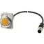 Indicator light, Flat, Cable (black) with M12A plug, 4 pole, 1 m, Lens yellow, LED white, 24 V AC/DC thumbnail 2