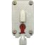 Fuse-link, LV, 100 A, AC 500 V, NH0, gL/gG, IEC, dual indicator, live gripping lugs thumbnail 5