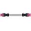 pre-assembled interconnecting cable Eca Socket/plug pink thumbnail 1