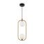 Modern Ring Pendant Lamp Brass thumbnail 3