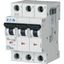Miniature circuit breaker (MCB), 2 A, 3p, characteristic: D thumbnail 6