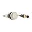 Pushbutton, Flat, momentary, 1 N/O, Cable (black) with M12A plug, 4 pole, 0.2 m, White, Blank, Bezel: titanium thumbnail 10