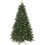 Christmas Tree Bergen thumbnail 1