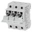 Fuse-holder, LV, 30 A, AC 600 V, 10 x 38 mm, CC, 3P, UL, indicating, DIN rail mount thumbnail 46