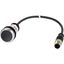 Pushbutton, Flat, momentary, 1 NC, Cable (black) with M12A plug, 4 pole, 1 m, black, Blank, Bezel: titanium thumbnail 5