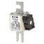 Fuse-link, high speed, 125 A, AC 690 V, compact DIN 1, 45 x 59 x 104 mm, aR, DIN, IEC, single indicator thumbnail 5