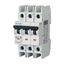 Miniature circuit breaker (MCB), 35 A, 3p, characteristic: C thumbnail 4