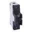 Miniature circuit-breaker, Acti9 NG125H, 1P, 80 A, D curve, 36 kA (IEC 60947-2) thumbnail 2