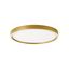 Ceiling Light Gold  D:500  Vanessa thumbnail 1