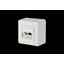 Modul wall outlet surface mounted 2 port unequipped pure white 43 mm thumbnail 2