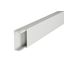 Annular trunking MINITRUNKING 50X20 MM 2 M thumbnail 2