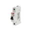 S201P-K63 Miniature Circuit Breaker - 1P - K - 63 A thumbnail 2