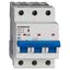 Miniature Circuit Breaker (MCB) AMPARO 10kA, B 63A, 3-pole thumbnail 1