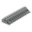 1-conductor female connector CAGE CLAMP® 2.5 mm² gray thumbnail 1