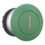 Mushroom actuator, RMQ-Titan, Mushroom, maintained, Mushroom green, green, inscribed, Bezel: titanium thumbnail 14