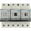 Fuse switch-disconnector, LPC, 25 A, service distribution board mounting, 3 pole, DII thumbnail 31