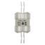 Utility fuse-link, low voltage, 160 A, AC 415 V, BS88/J, 38 x 101 mm, gL/gG, BS thumbnail 20