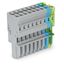 1-conductor female connector CAGE CLAMP® 4 mm² gray/blue/green-yellow thumbnail 1