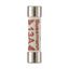 Fuse-link, Overcurrent NON SMD, 5 A, AC 240 V, BS1362 plug fuse, 6.3 x 25 mm, gL/gG, BS thumbnail 47